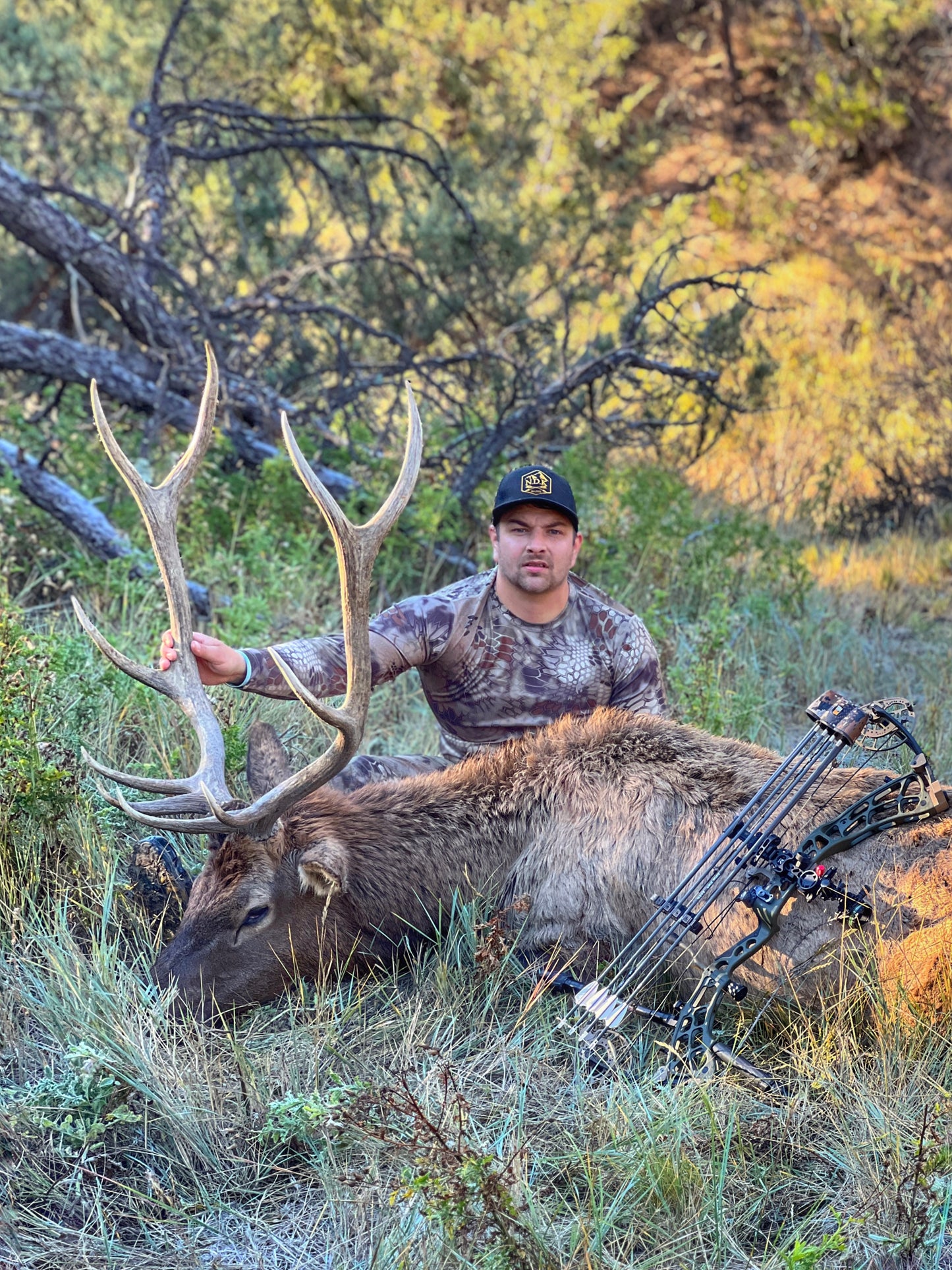 NDK Owner Tylor Olsen with his bull elk taken with the NDK Ghost hunting arrows